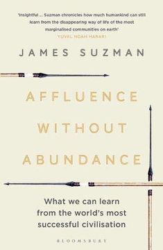 portada Affluence Without Abundance: What we can Learn From the World's Most Successful Civilisation (en Inglés)