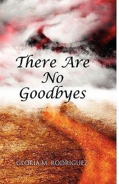 portada there are no goodbyes (in English)