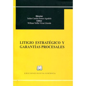 portada LITIGIO ESTRATÉGICO Y GARANTÍAS PROCESALES (in Spanish)
