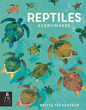 portada Reptiles Everywhere (Animals Everywhere) 