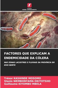 portada Factores que Explicam a Endemicidade da Cólera (in Portuguese)