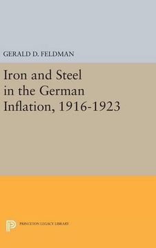 portada Iron and Steel in the German Inflation, 1916-1923 (Princeton Legacy Library) (en Inglés)