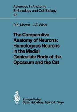 portada the comparative anatomy of neurons: homologous neurons in the medial geniculate body of the opossum and the cat (en Inglés)