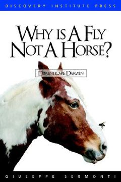portada why is a fly not a horse? (en Inglés)