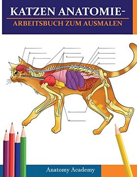 portada Katzen AnatomieArbeitsbuch zum Ausmalen: Unglaublich detaillierter Selbsttest Katzen Anatomie-Arbeitsbuch zum Ausmalen Perfektes Geschenk für Tiermedi (en Alemán)