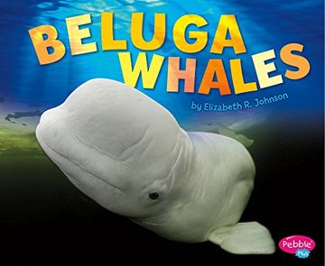 portada Beluga Whales (Sea Life)