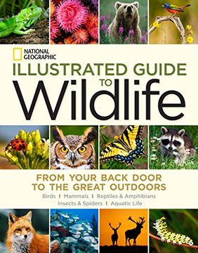 portada National Geographic Illustrated Guide to Wildlife: From Your Back Door to the Great Outdoors (in English)