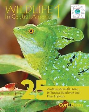 portada Wildlife In Central America 1: 25 Amazing Animals Living in Tropical Rainforest and River Habitats (en Inglés)