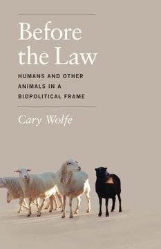 portada Before the Law: Humans and Other Animals in a Biopolitical Frame (en Inglés)