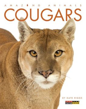 portada Amazing Animals: Cougars
