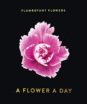 portada Flamboyant Flowers 2021 (en Inglés)