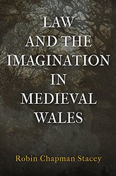 portada Law and the Imagination in Medieval Wales (The Middle Ages Series) (en Inglés)