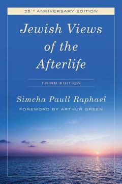 portada Jewish Views of the Afterlife (in English)