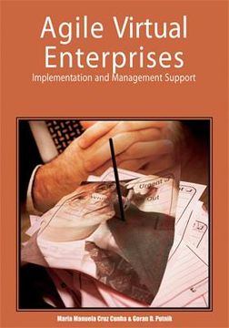 portada agile virtual enterprises: implementation and management support (en Inglés)