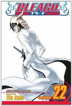 bleach 22