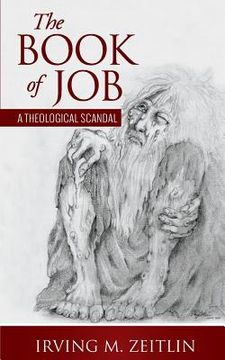 portada The Book of Job: A Theological Scandal (in English)