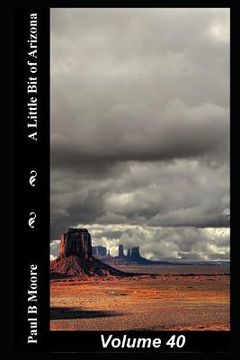 portada A Little Bit of Arizona: Volume 40 (en Inglés)
