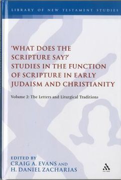 portada 'what does the scripture say?' studies in the function of scripture in early judaism and christianit: volume 2: the letters and liturgical traditions