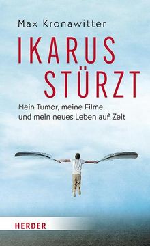 portada Ikarus Stürzt (en Alemán)
