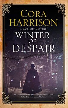 portada Winter of Despair: 2 (a Gaslight Mystery) (in English)