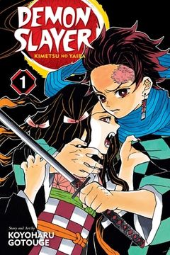 Demon Slayer: Kimetsu No Yaiba, Vol. 1 (en Inglés)