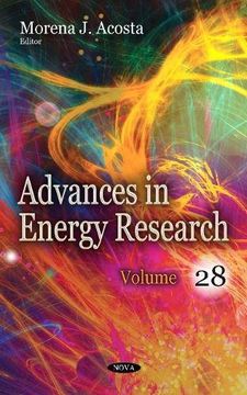 portada Advances in Energy Research: Volume 28 (Advances in Energy Research se) (en Inglés)