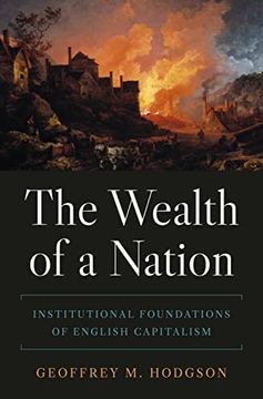 portada The Wealth of a Nation: Institutional Foundations of English Capitalism (The Princeton Economic History of the Western World, 122) (en Inglés)