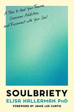portada Soulbriety: A Plan to Heal Your Trauma, Overcome Addiction, and Reconnect With Your Soul (in English)