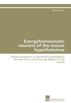 portada Energyhomeostatic neurons of the mouse hypothalamus