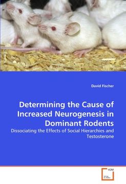 determining the cause of increased neurogenesis in dominant rodents (en Inglés)