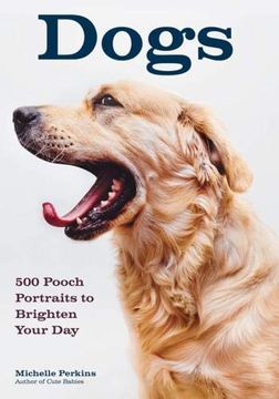 portada Dogs: 500 Pooch Portraits to Brighten Your day (en Inglés)