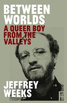 portada Between Worlds: A Queer Boy from the Valleys (en Inglés)