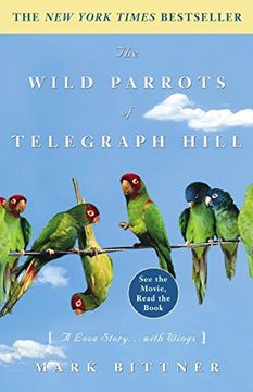 portada The Wild Parrots of Telegraph Hill: A Love Story. With Wings (in English)