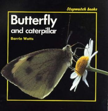 portada Butterfly and Caterpillar (Stopwatch)