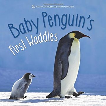portada Baby Penguin's First Waddles (First Discoveries)