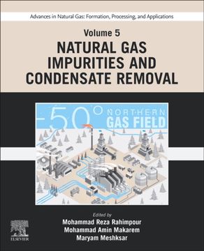 portada Advances in Natural Gas: Formation, Processing, and Applications. Volume 5: Natural gas Impurities and Condensate Removal (Formation, Processing and Applications, 5) (en Inglés)
