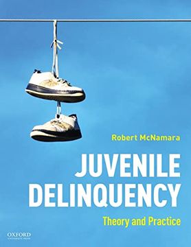portada Juvenile Delinquency: Theory to Practice (en Inglés)