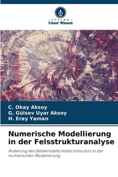 portada Numerische Modellierung in der Felsstrukturanalyse (en Alemán)