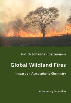 portada global wildland fires (en Inglés)