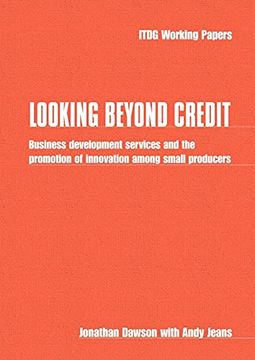portada Looking Beyond Credit: Business Development Services and the Promotion of Innovation Among Small Producers (it Working Papers) 