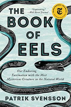 portada The Book of Eels (in English)
