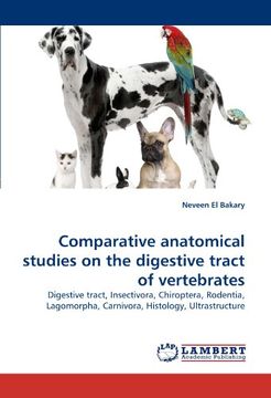 portada Comparative anatomical studies on the digestive tract of vertebrates: Digestive tract, Insectivora, Chiroptera, Rodentia, Lagomorpha, Carnivora, Histology, Ultrastructure