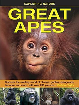 portada Exploring Nature: Great Apes