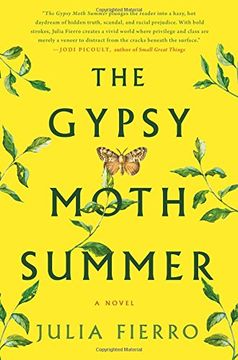 portada The Gypsy Moth Summer: A Novel
