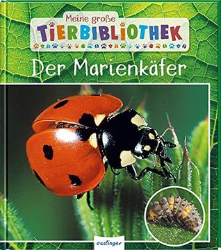 portada Meine Große Tierbibliothek: Der Marienkäfer (en Alemán)