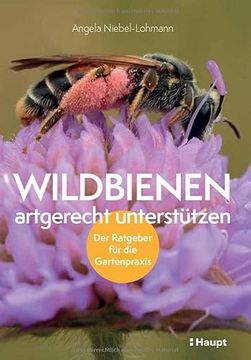 portada Wildbienen Artgerecht Unterstützen: Der Ratgeber für die Gartenpraxis (en Alemán)