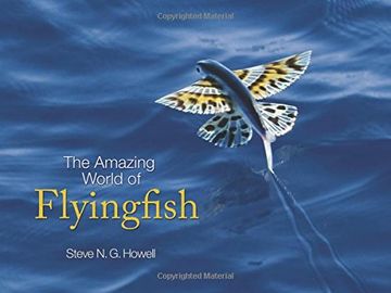 portada The Amazing World of Flyingfish