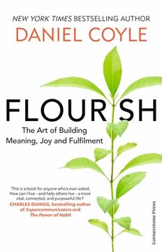 Flourish. The Art of Building Meaning, Joy and Fulfilment