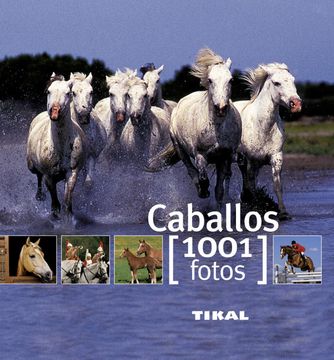 portada Caballos 1001 Fotos (in Spanish)