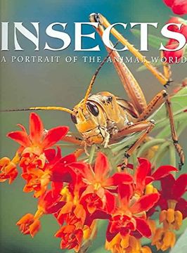 portada Insects: A Portrait of the Animal World (en Inglés)